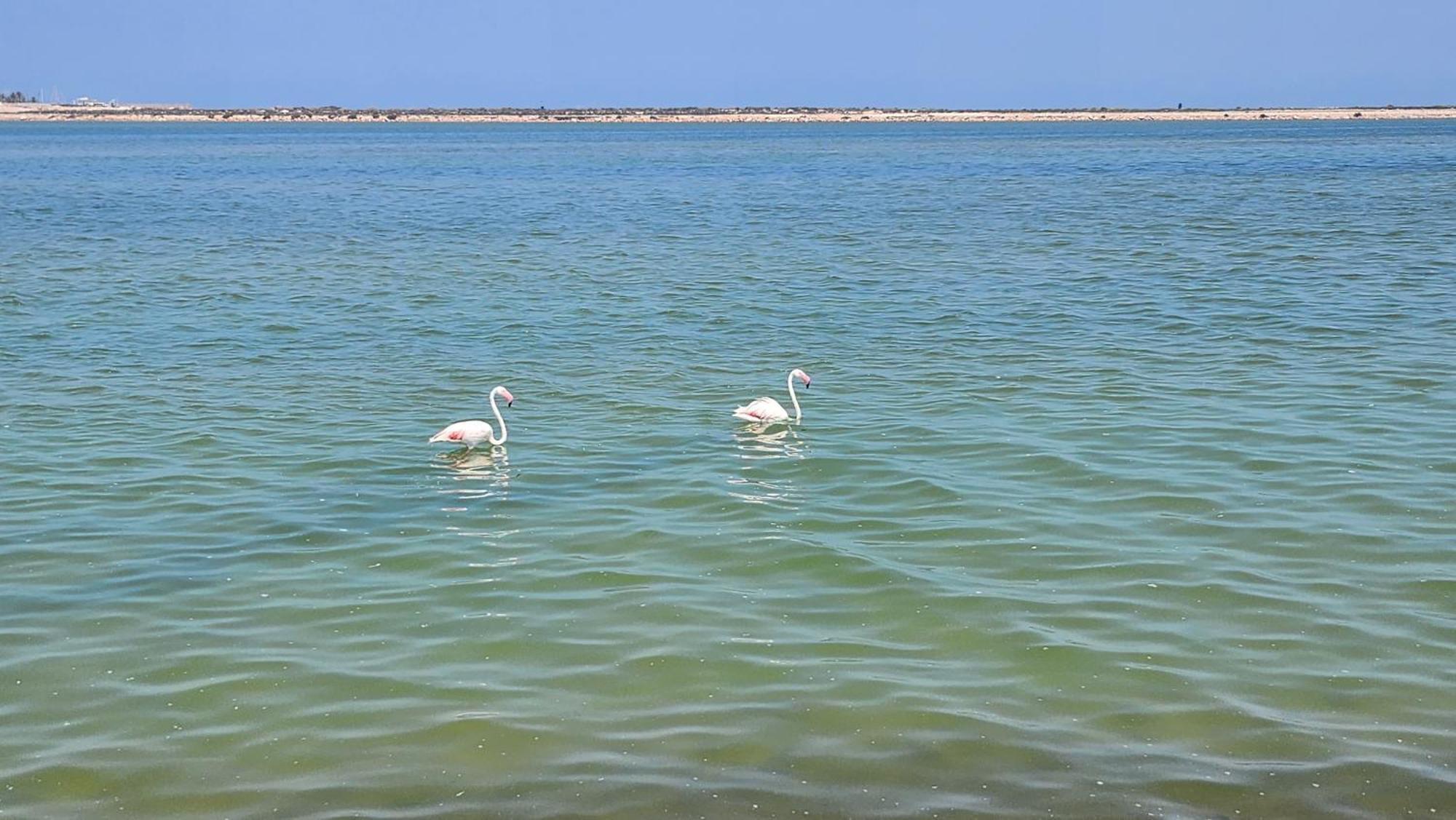 La Manga Del Mar Menor Los Miradores Block 1 5Th Floor G Murcia Dış mekan fotoğraf